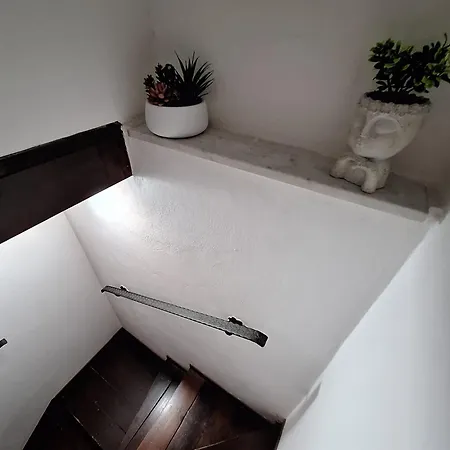 Toro House Apartmán