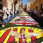 Toro House Noto