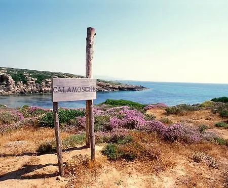 Toro House アパート ノート